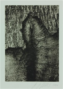 Image description is not available for 2014.018